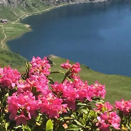 Apartman Haus Jaeger Filzmoos