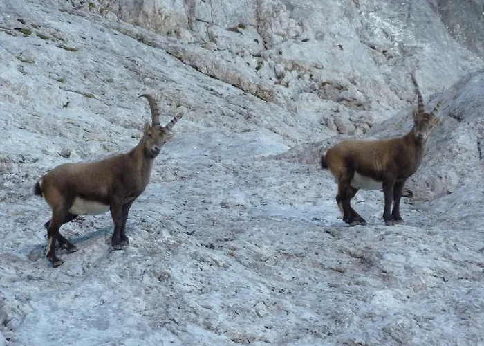 Appartamento Haus Jaeger *